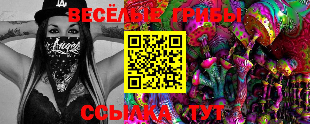 Галлюциногенные грибы Psilocybine cubensis  Галлюциногенные грибы мухоморы  Вход с VPN  Новороссийск 