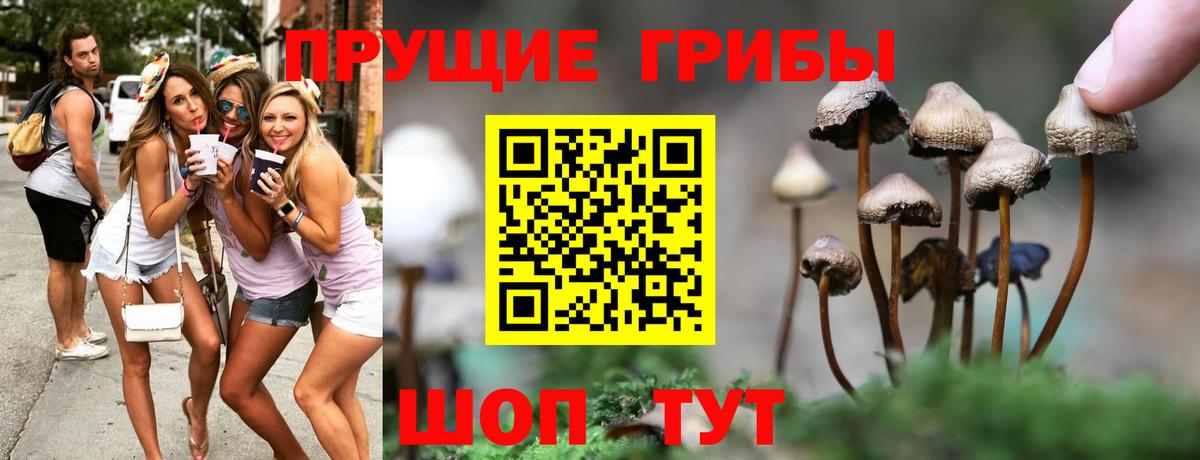 Псилоцибиновые грибы MAGIC MUSHROOMS Новороссийск